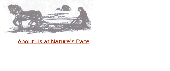 About Us at Nature's Pace