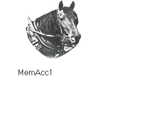 MemAcc1