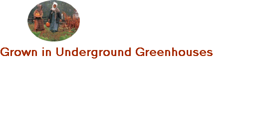 Grown in Underground Greenhouses